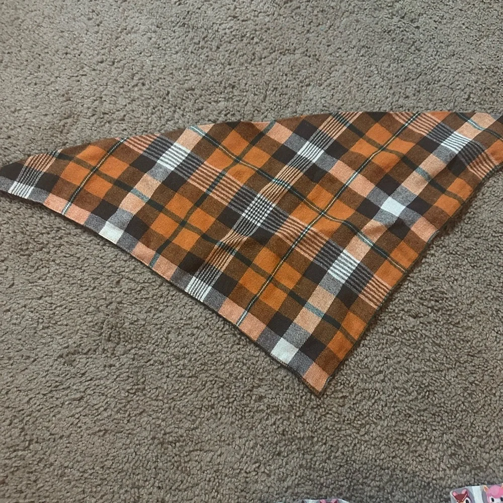 Dog Bandana Set